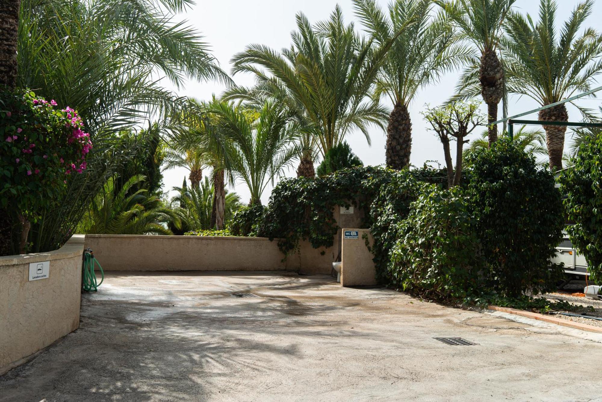 Camping Las Palmeras Crevillente Eksteriør bilde
