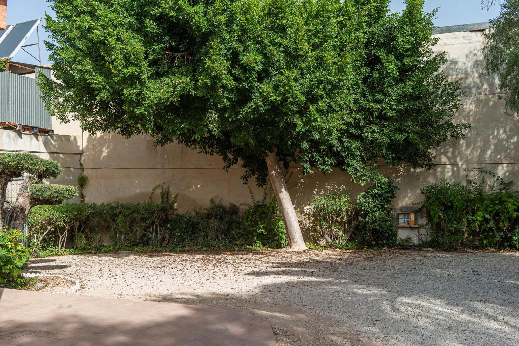 Camping Las Palmeras Crevillente Eksteriør bilde