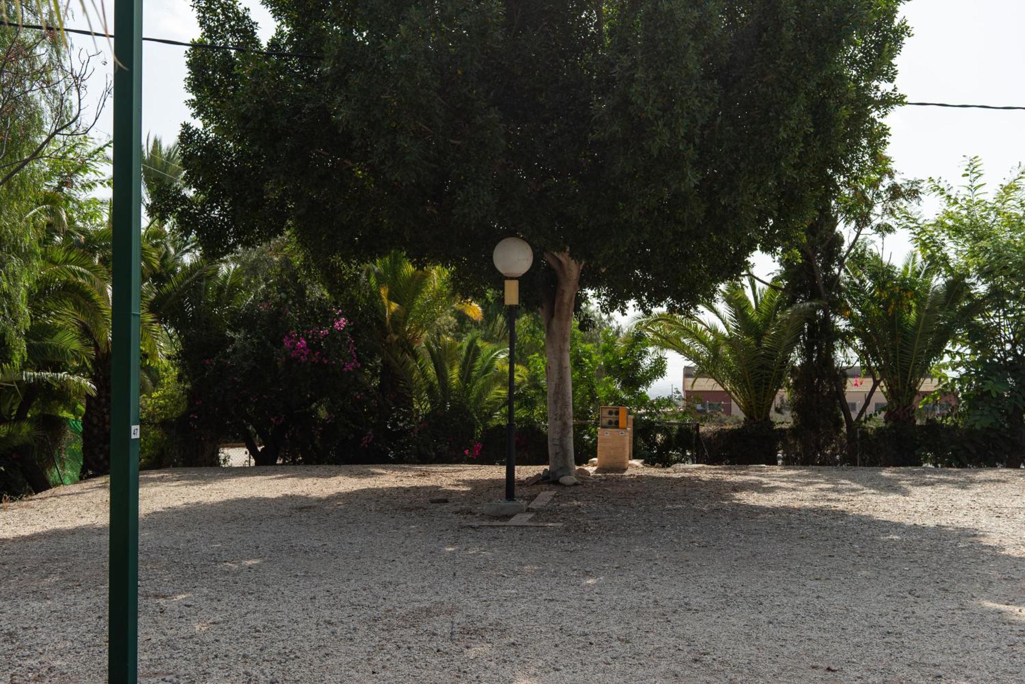 Camping Las Palmeras Crevillente Eksteriør bilde