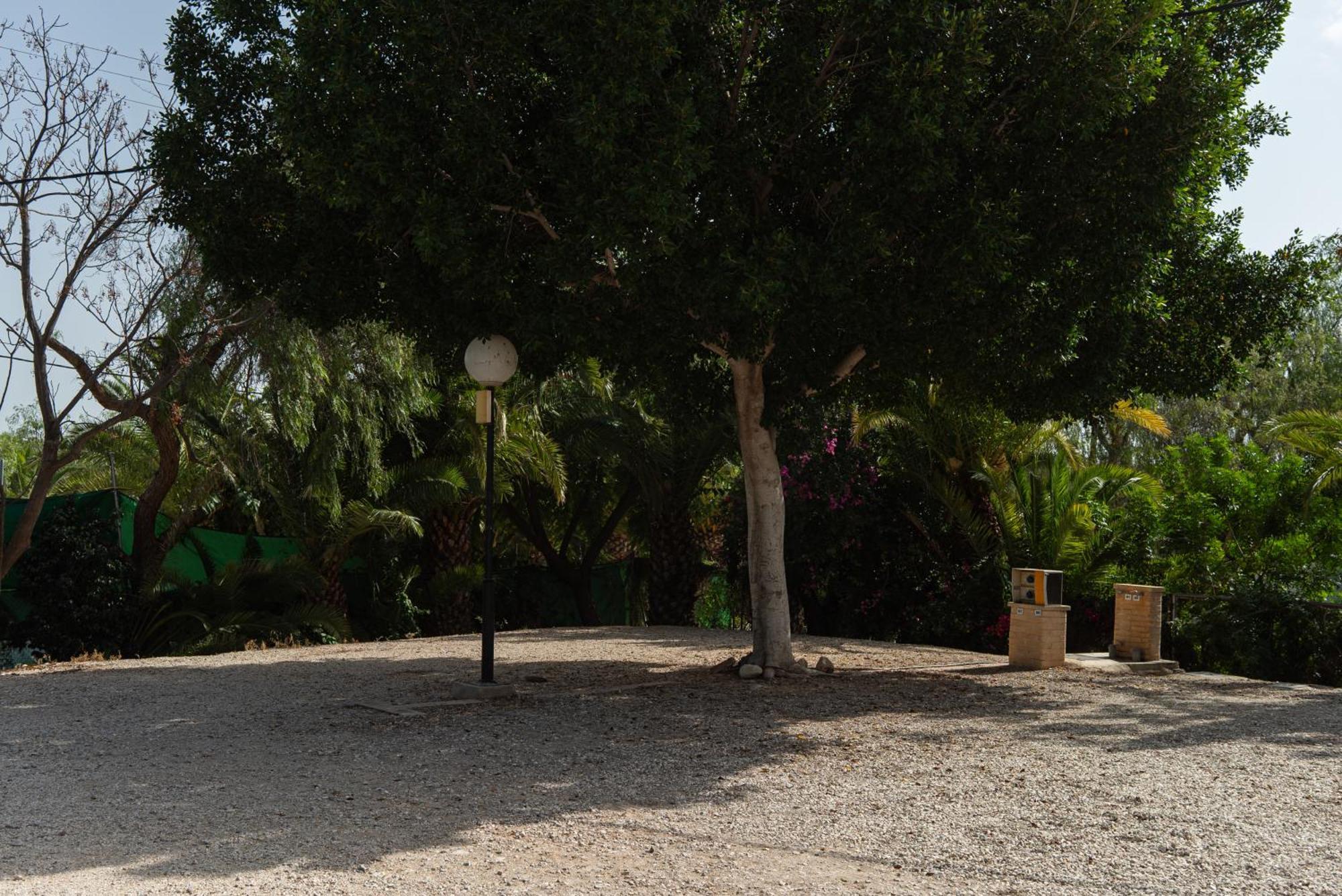 Camping Las Palmeras Crevillente Eksteriør bilde